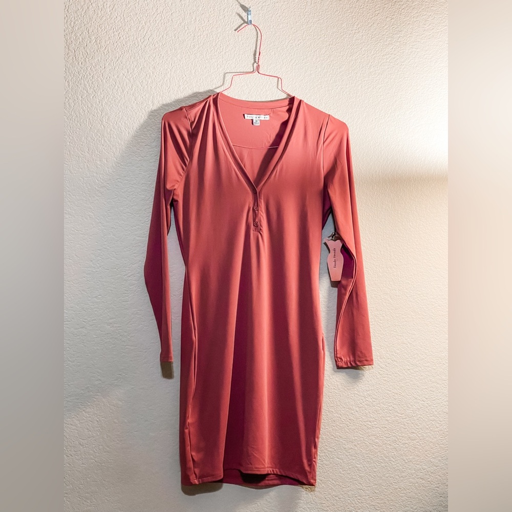 Unbranded Rust Long Sleeve V-Neck Bodycon Dress